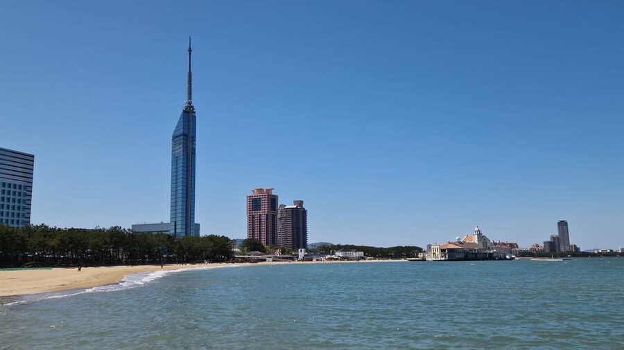 Fukuoka: Customized Tour with Local Guide - Price and value: is $58 per person worth it?