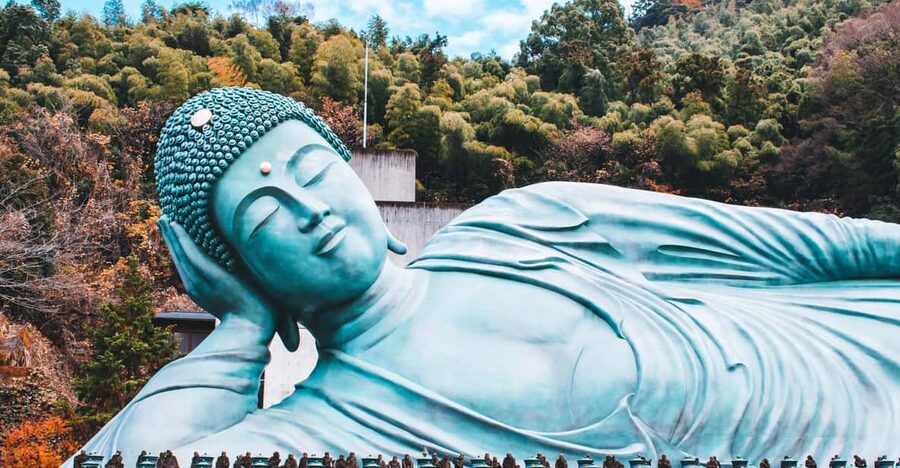 Fukuoka: Customized Tour with Local Guide - Who this tour suits best in Fukuoka