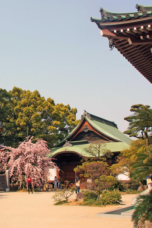 Fukuoka Essentials: History, Culture, & Charms - Tochoji Temple: the Buddha statue contrast that makes both places click