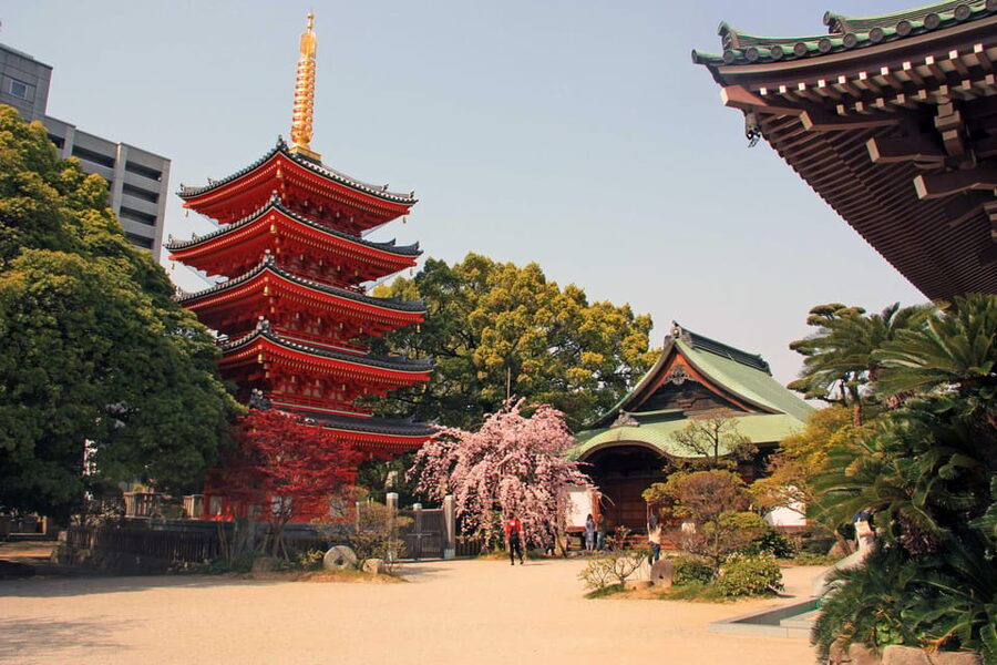 Fukuoka Essentials: History, Culture, & Charms - Guides, pace, and the small things that make it work