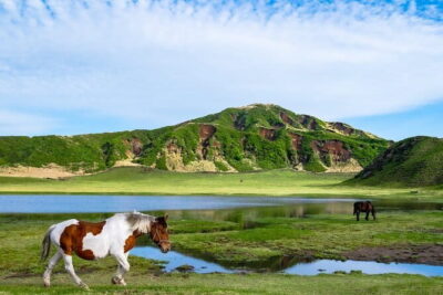 Mount Aso Volcano, Kumamoto Castle, Grasslands Day Tour
