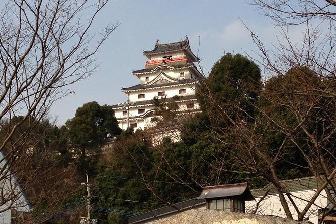 Fukuoka Nature and Cultural Sightseeing Tour - Price and logistics: what $651.53 per group really buys you