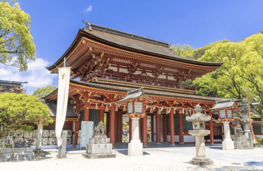 Fukuoka Private Custom Tour with Local Guide - Ohori Park and Fukuoka Castle Ruins: Calm Scenery With Context