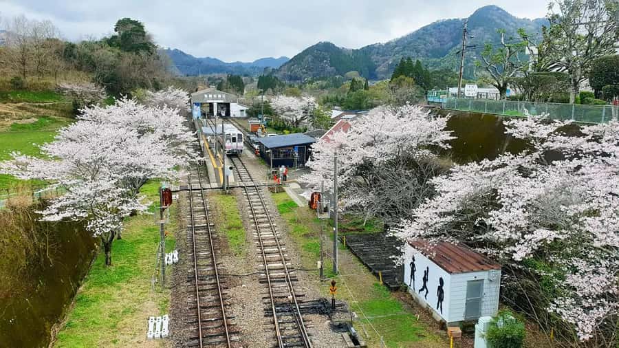 Fukuoka: Takachiho Gorge & Scenic Railway One Day Tour - The vintage Takachiho train ride: seasonal scenery plus Showa-era fun
