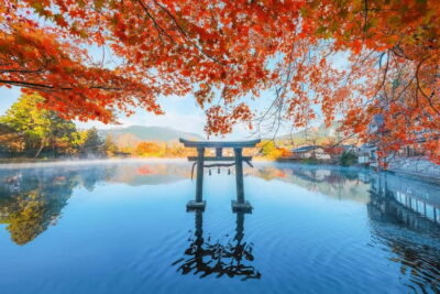 Yufuin & Beppu Day Tour (Dazaifu / Brewery Options)