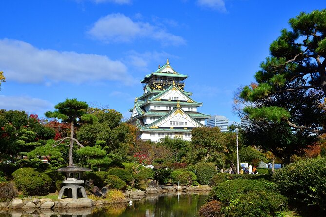 Full Day Guided Tour in Osaka by Van - Key highlights before you go