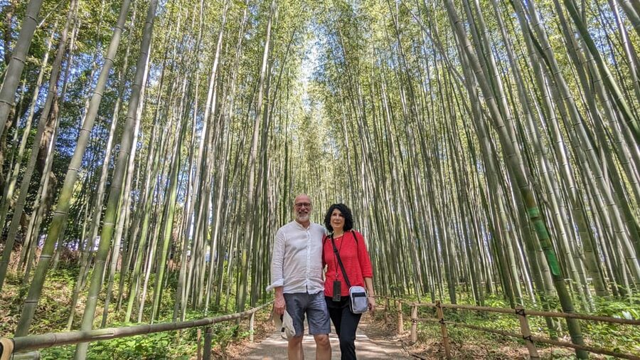 Full-Day Kyoto Walking Tour: Most Iconic Landmarks & Monkeys - The transit rhythm: JR to Arashiyama without losing the day