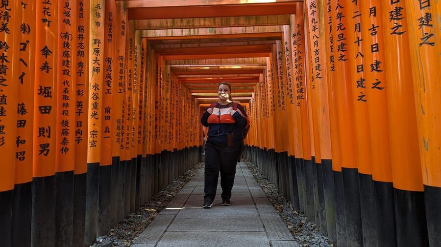 Full-Day Kyoto Walking Tour: Most Iconic Landmarks & Monkeys - Randen tram to Kinkakuji: arriving for the Golden Pavilion glow