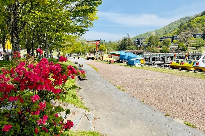 Full-Day Private Nikko Tour from Tokyo wd English Speaking Driver - Why a private Nikko day trip beats the train shuffle