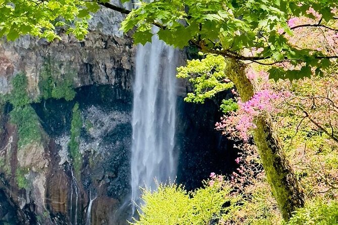 Full-Day Private Nikko Tour from Tokyo wd English Speaking Driver - Nikko Tosho-gu: the Tokugawa story you can actually see