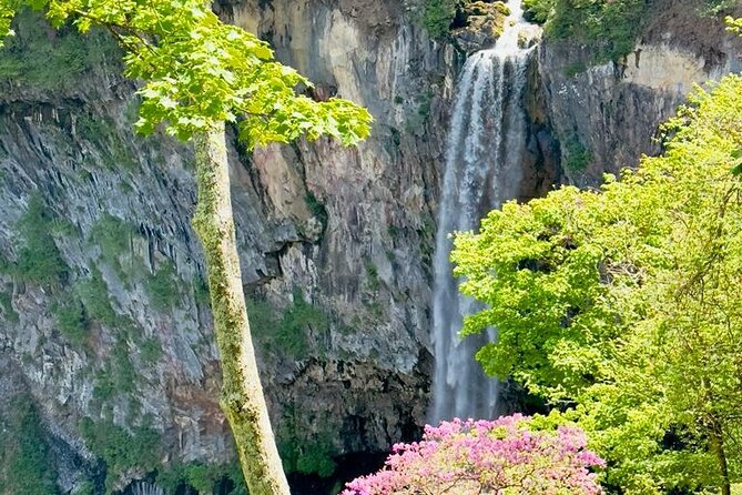 Full-Day Private Nikko Tour from Tokyo wd English Speaking Driver - Timing, weather, and how to keep the day comfortable
