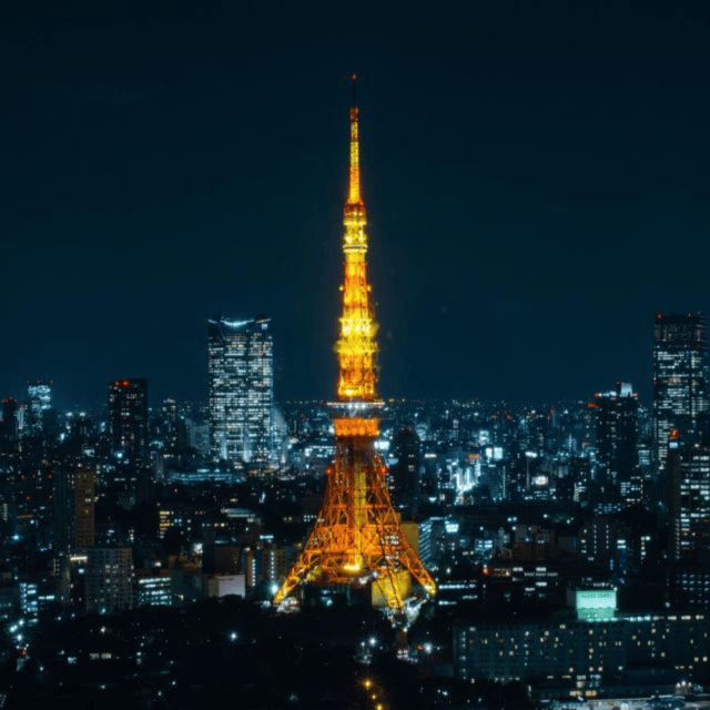 Full Day Tokyo City Private Tour Sightseeing Full Customised - A private Tokyo day that starts with less effort