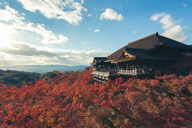 Full Day Tour of Kyoto with Private Transportation - Pickup, timing, and how to keep the day from feeling rushed