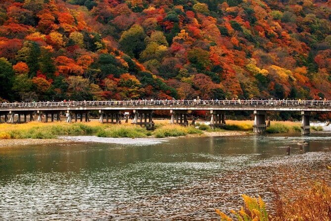 Full Day Tour of Kyoto with Private Transportation - Food, breaks, and shopping without derailing the schedule