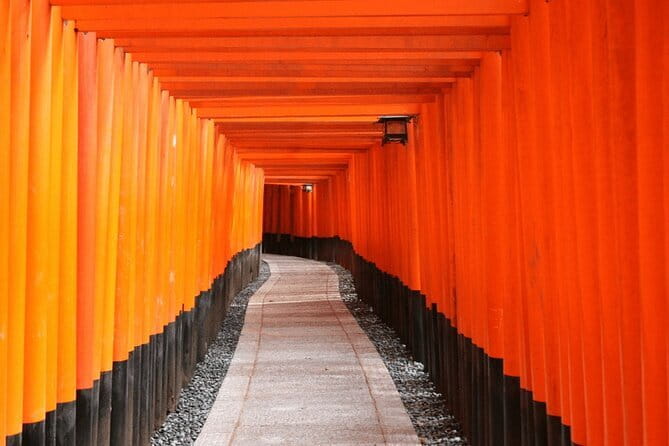 Full Day Tour of Kyoto with Private Transportation - Price and what you are really paying for
