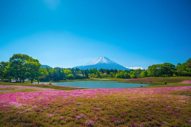 Full Day Tour to Mount Fuji in Spanish - Key Points You’ll Appreciate on This Fuji Day