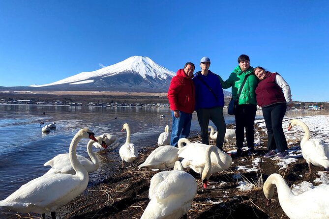 Full Day Tour to Mount Fuji in Spanish - Stop 3 and 4: Saiko Iyashi no Sato Nemba and Saiko Lake Film Spots