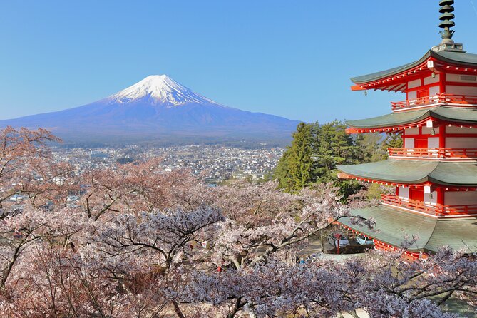Full Day Tour to Mount Fuji in Spanish - Stop 11: Fugaku Wind Cave, Volcanic Lava You Can See Up Close