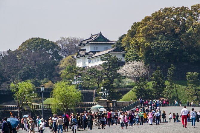 Full Tokyo: Meiji Shrine, Imperial Palace, Asakusa & Skytree - Meiji Shrine: where the city quiets down
