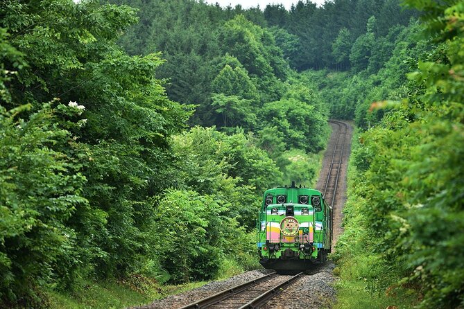 Furano & Biei 6 hour Tour: English Speaking Driver only, No Guide - What the private car changes for you