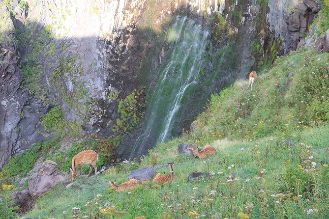 Furepe Waterfall Nature Walk - Who Should Book This Furepe Waterfall Nature Walk?