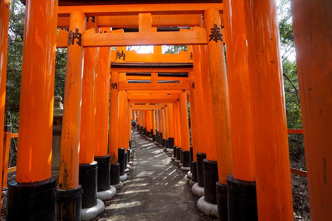 Fushimi Inari Hidden Hiking Tour (Private Option Available) - A guided route that keeps you from getting tangled