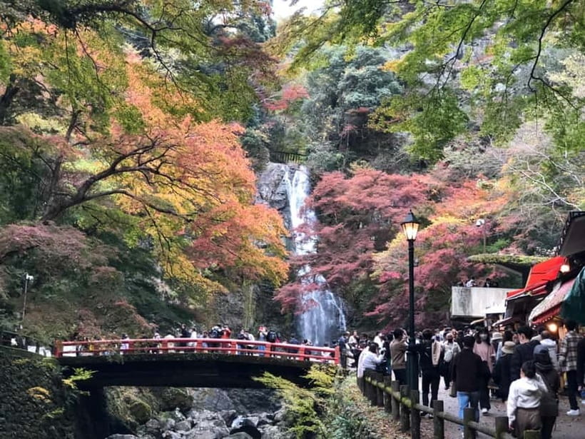 Get to know Minoo from Osaka. Katsuoji Temple, Ryuanji Waterfall and Ryuanji Temple - Key things to know before you go