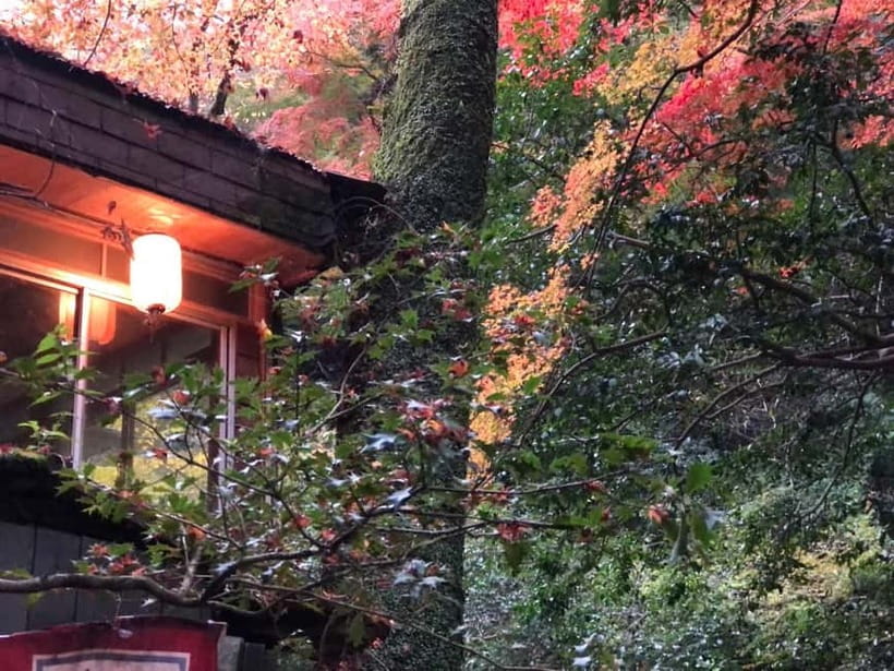 Get to know Minoo from Osaka. Katsuoji Temple, Ryuanji Waterfall and Ryuanji Temple - Ryuanji Temple and the reason the waterfall is more than a photo stop