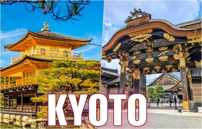 Golden Pavilion, Nijo Castle, & Nishiki Market Half day tour - Key points to know before you go