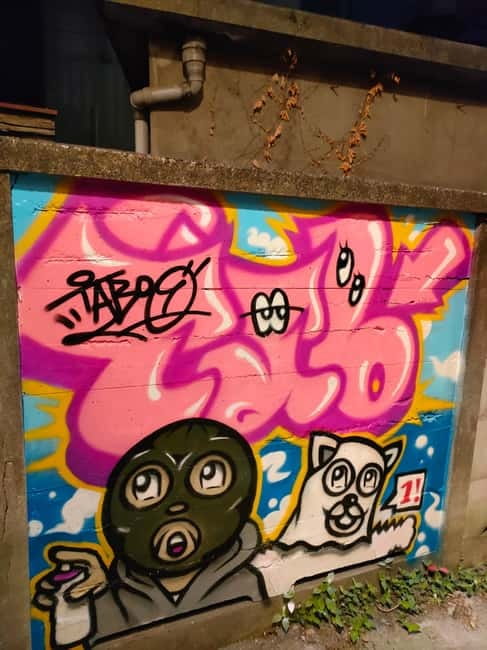 Graffiti in Tokyo Walking Tour: Shibuya and Harajuku - Harajuku in a short stop, long aftertaste