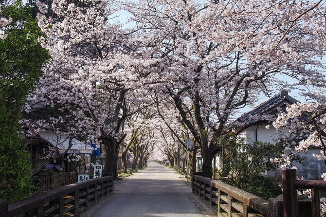 Hakata Old Town Walking Tour Tracing the True History of Fukuoka - Tochoji Temple: pagoda views and the big Fukuoka Daibutsu