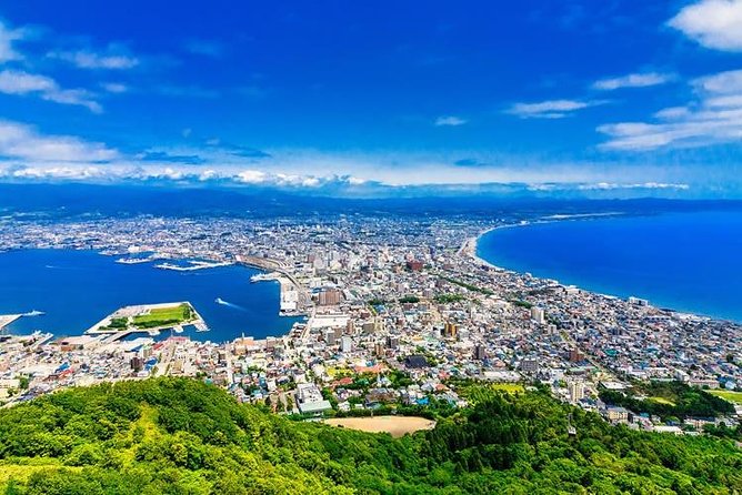Hakodate 4hr Private Tour with Government-Licensed Guide - Why Hakodate works especially well in 4 hours