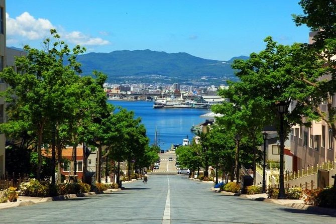 Hakodate 6hr Private Tour with Government-Licensed Guide - Why This Hakodate Day Feels More Like a Plan Than a Checklist