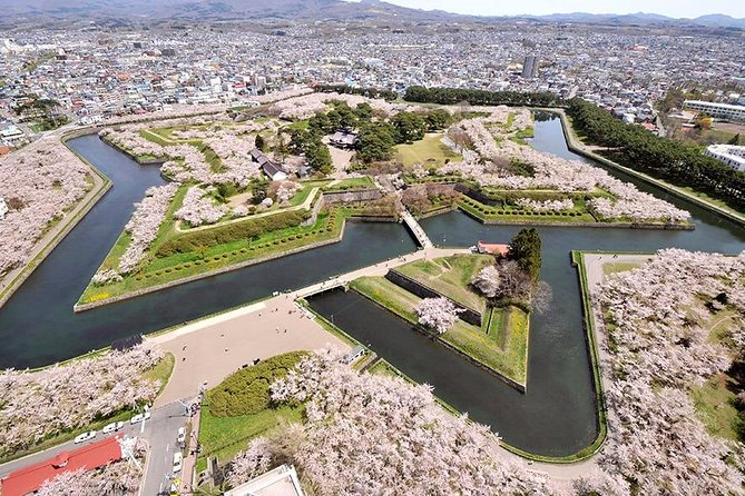 Hakodate 6hr Private Tour with Government-Licensed Guide - Hakodate Museum of Northern Peoples: Ainu Culture With a Note on the Ticket