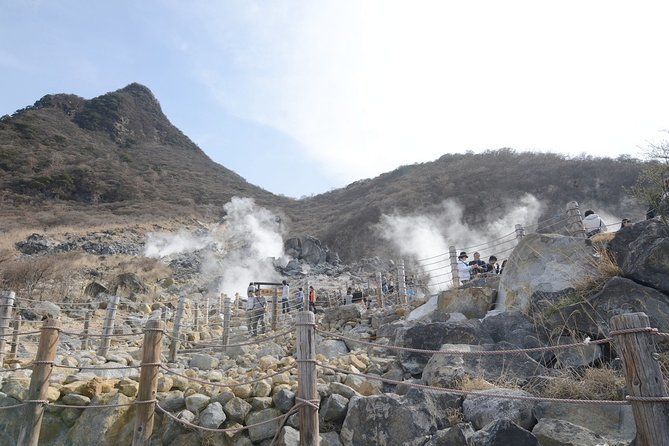 Hakone 6 hour Private Tour with Government-Licensed Guide - Lake Ashinoko and Hakone Shrine: the easy start that sets the tone