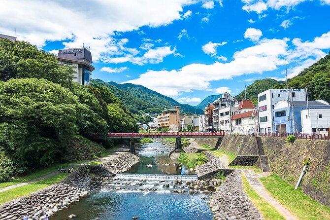 Hakone 6 hour Private Tour with Government-Licensed Guide - Art museums in Gora: POLA, Okada, and smarter breaks from sightseeing