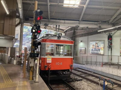 Hakone Adventure: Explore Nature’s Beauty and Tranquility