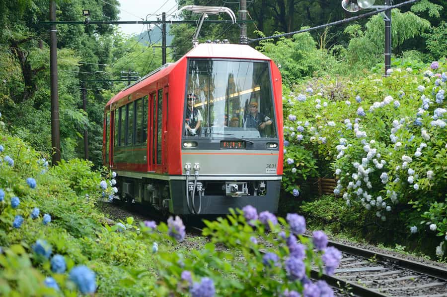 Hakone and Kamakura: 3-day Rail Pass - Price and value: why this pass can be a smart move