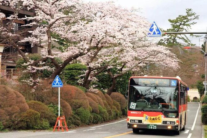 Hakone Free Pass, 2-3 Days Travel Voucher Japan - Expect Queues, Packed Cars, and the “Don’t Panic” Strategy