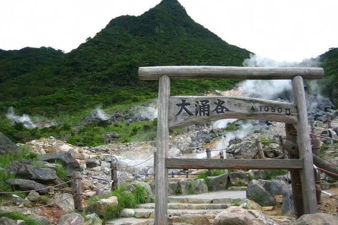 Hakone Free Pass, 2-3 Days Travel Voucher Japan - Using the Pass Without Getting Tripped Up by Pickup Rules