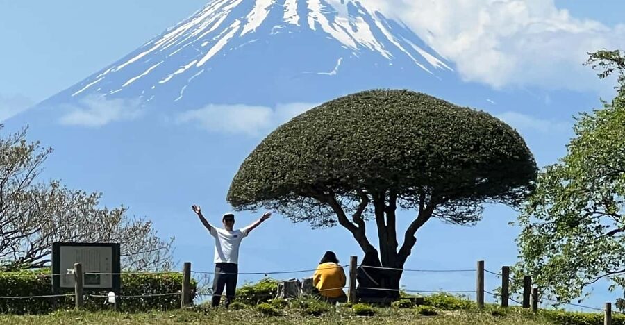 Hakone Hachiri: Old Tokaido Highway Hiking Tour - Hakone Hachiri: Why This Old Highway Still Hooks You