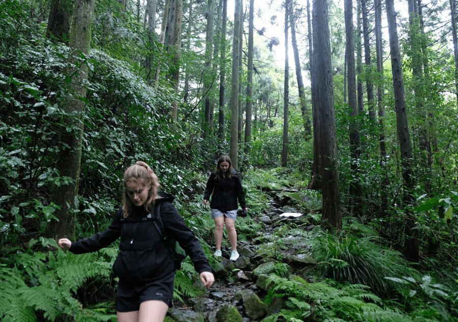 Hakone Hachiri: Old Tokaido Highway Hiking Tour - Price and Value: What You Pay, and What to Budget Extra For