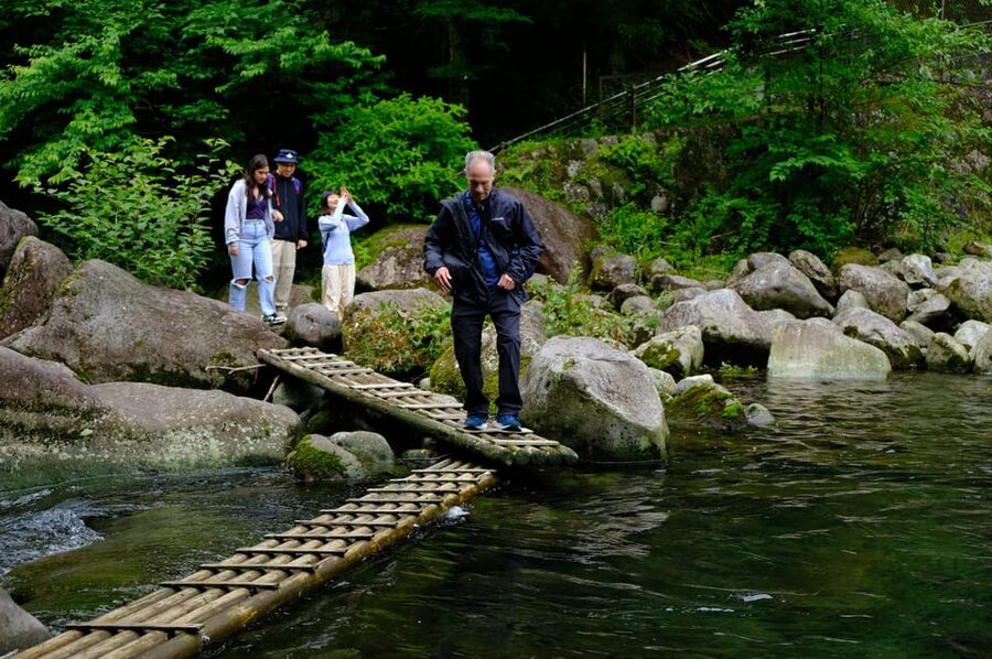 Hakone Hachiri: Old Tokaido Highway Hiking Tour - Lunch by Lake Ashi, Then Past Hakone Pass