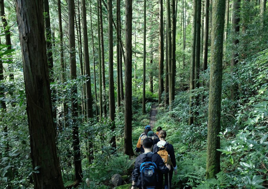 Hakone Hachiri: Old Tokaido Highway Hiking Tour - Your Guide Makes the Difference: Aki, Flexibility, and Safety
