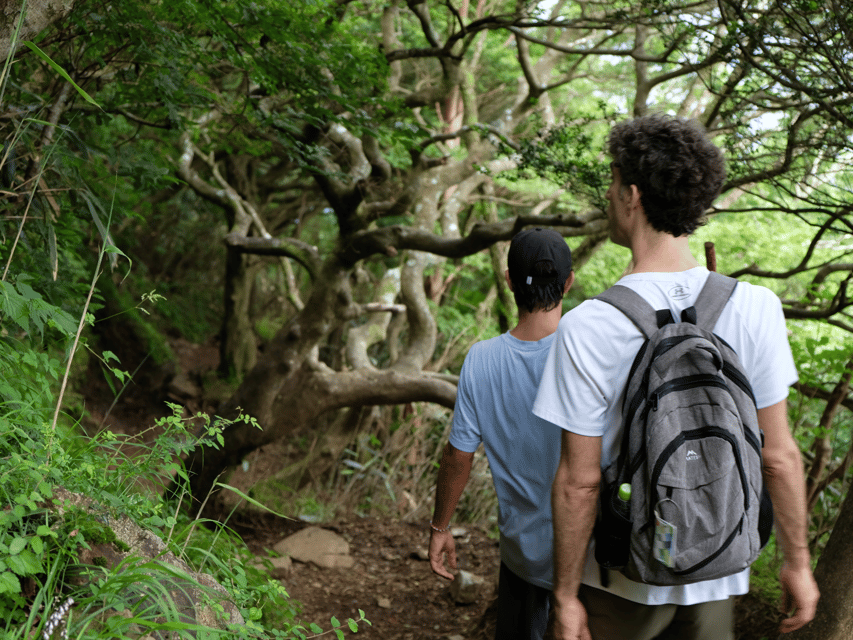 Hakone: Traverse the Hakone Caldera and Enjoy Onsen - Weather Reality: How To Think About Mt Fuji Day After Day