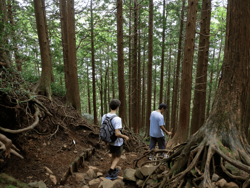 Hakone: Traverse the Hakone Caldera and Enjoy Onsen - Down To Togendai: Ending The Hike With A Real Transition