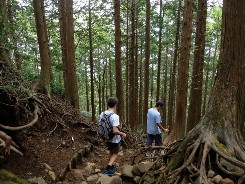 Hakone: Traverse the Hakone Caldera and Enjoy Onsen - Onsen After The Hike: The Hakone Ritual Of Resetting Sore Muscles