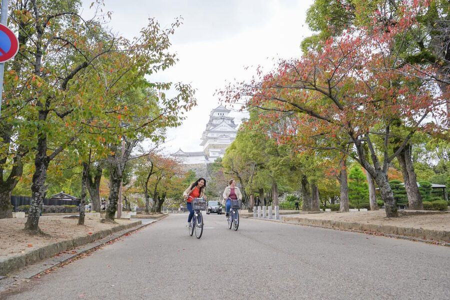Half-day Himeji Castle Town Bike Tour with Lunch - Price and value: what you’re really paying for