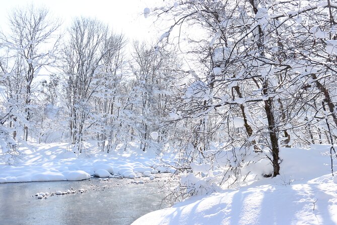 Half Day - Snow View Rafting in Niseko - Snow sliding at the start: plan for the bonus, not the guarantee