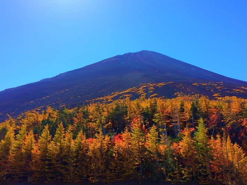 Halfway Up Mt,Fuji, Oshino Hakkai, Kawaguchiko from Tokyo - Key Highlights That Make This Route Click
